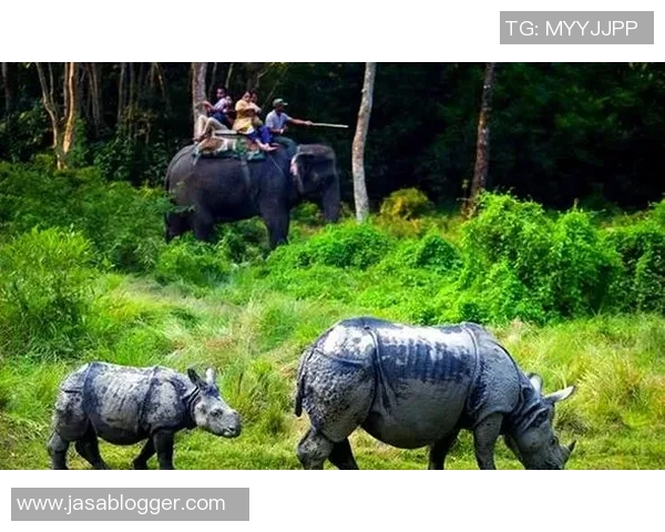 足球明星与新疆女友的浪漫故事揭示了爱情与文化的交融之美