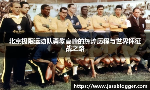 北京极限运动队勇攀高峰的辉煌历程与世界杯征战之路