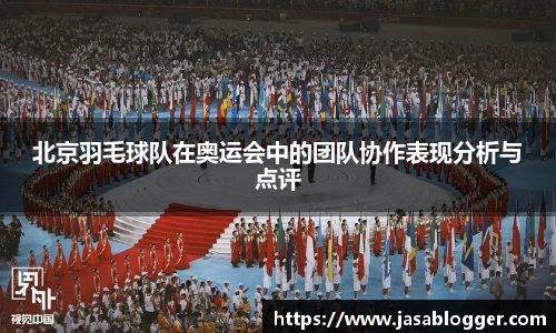北京羽毛球队在奥运会中的团队协作表现分析与点评