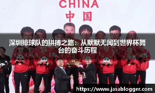 深圳排球队的拼搏之路：从默默无闻到世界杯舞台的奋斗历程